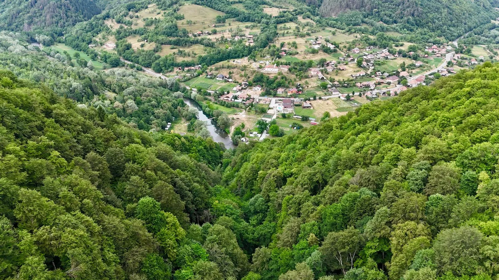 Toate pozele, 20