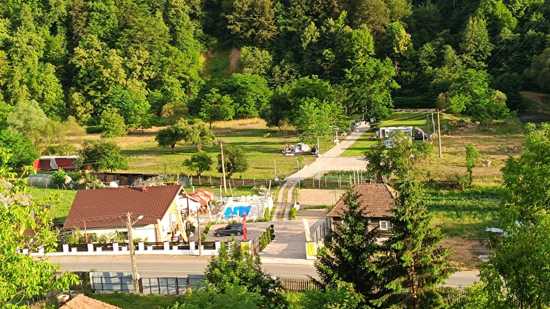 Toate pozele, 31